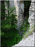 dsc09866.jpg