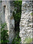 dsc09867.jpg