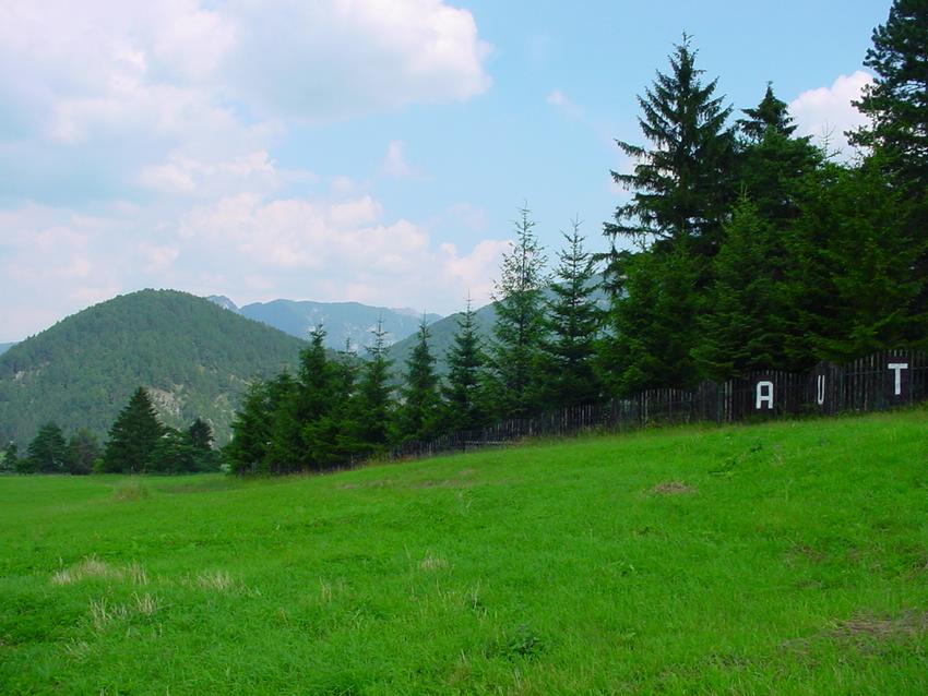 dsc09839.jpg