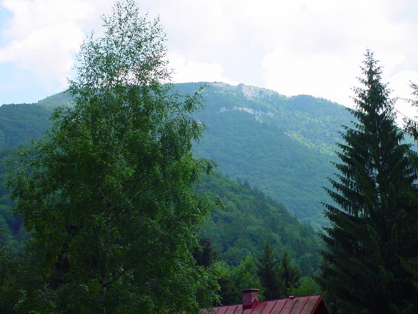 dsc09845.jpg