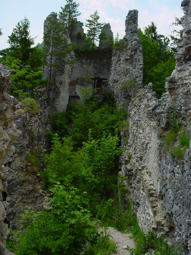 dsc09855.jpg