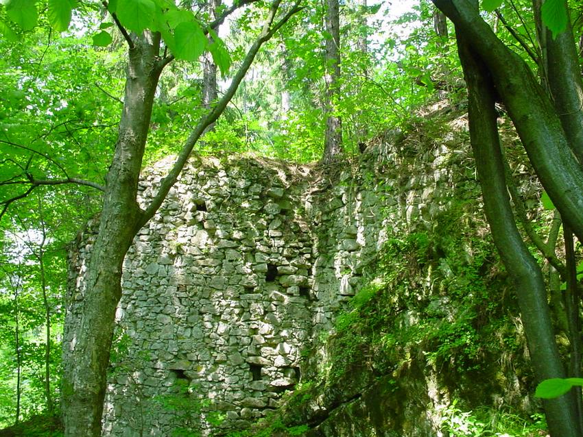 dsc09870.jpg