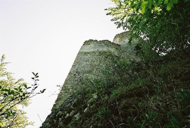 dsd09813.jpg