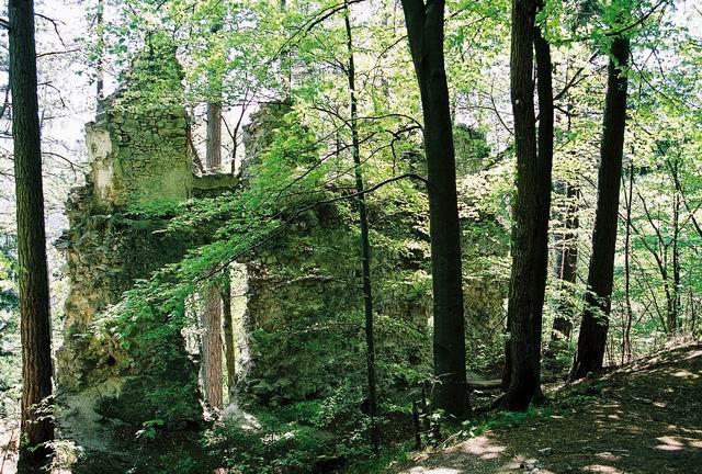 dsd09818.jpg