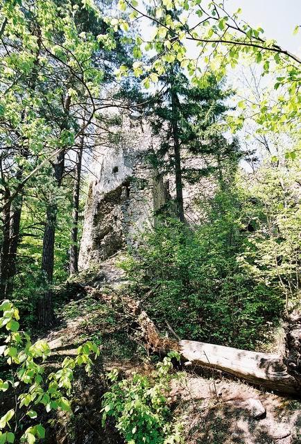 dsd09820.jpg