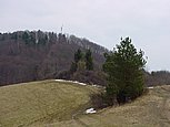dsc05599.jpg