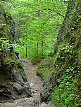 dsc06606.jpg