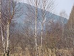 dsc04842.jpg