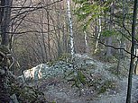 dsc04938.jpg