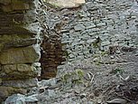 dsc04939.jpg
