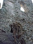 dsc04941.jpg