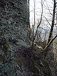 dsc04942.jpg