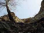 dsc04945.jpg