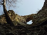 dsc04946.jpg