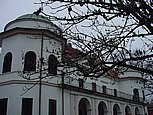 dsc08656.jpg