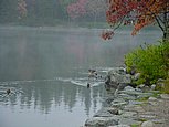 dsc03617.jpg